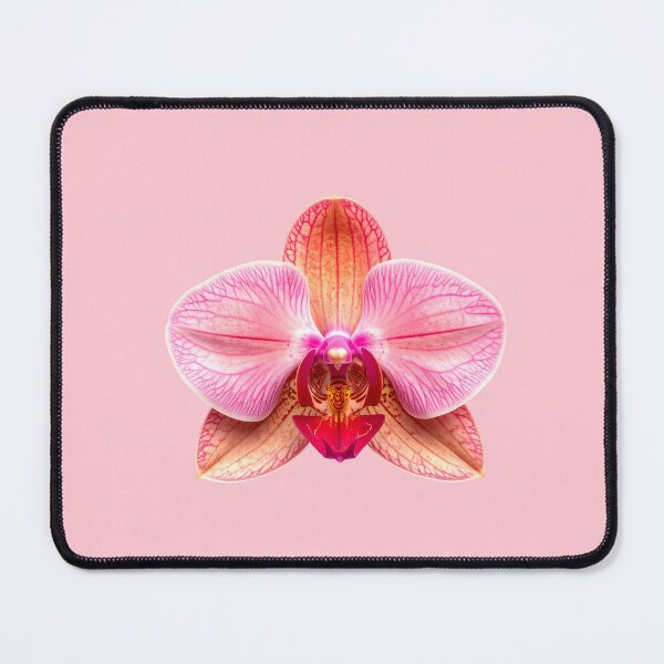 Item preview, Pink Orchid designed and sold by ⋆。°✩ Cocoshop777 ⋆。°✩.