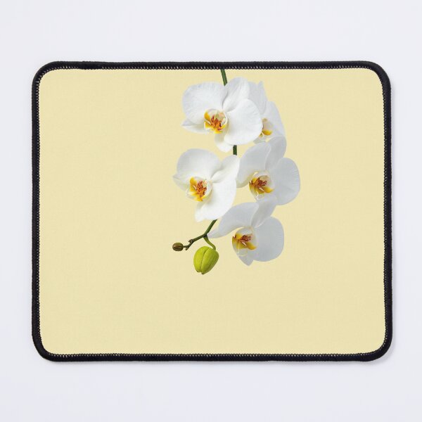 Item preview, Butter yellow orchids designed and sold by ⋆。°✩ Cocoshop777 ⋆。°✩.