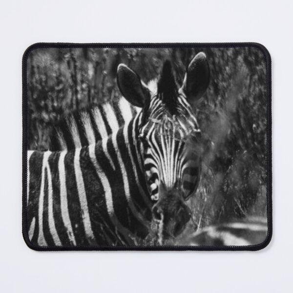 Item preview, Zebra Herd Wild designed and sold by Salabarriad.