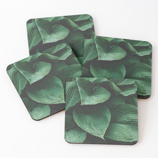 Item preview, Minimalist Lush Green Hosta Foliage Photo designed and sold by ReneJordaan.