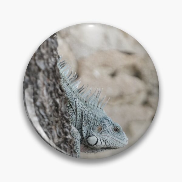 Item preview, Iguana Emerging From Behind A Tree designed and sold by Malcolm Snook.