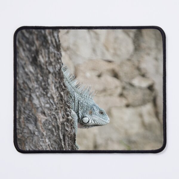 Item preview, Iguana Emerging From Behind A Tree designed and sold by Malcolm Snook.