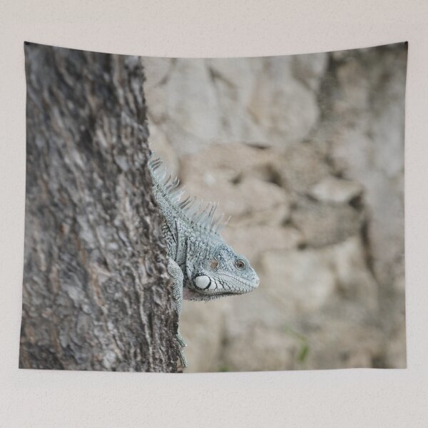 Item preview, Iguana Emerging From Behind A Tree designed and sold by Malcolm Snook.
