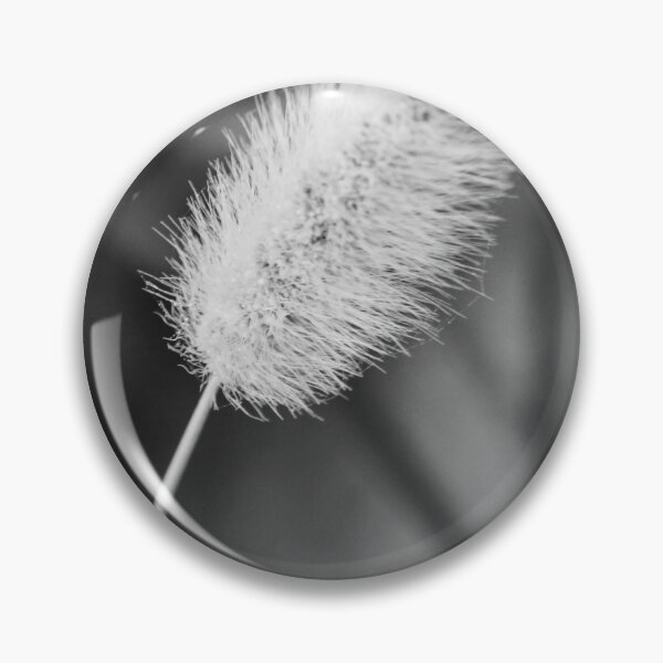 Item preview, Close-Up Black and White Macro of Fuzzy Bunny Tail Grass Seed Head, Minimal Nature Detail designed and sold by Nmallia.