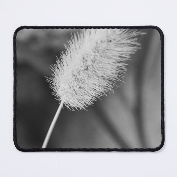 Item preview, Close-Up Black and White Macro of Fuzzy Bunny Tail Grass Seed Head, Minimal Nature Detail designed and sold by Nmallia.