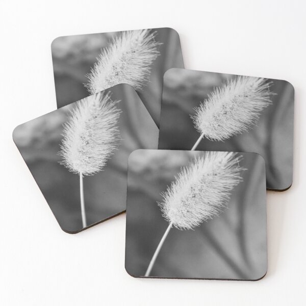 Item preview, Close-Up Black and White Macro of Fuzzy Bunny Tail Grass Seed Head, Minimal Nature Detail designed and sold by Nmallia.