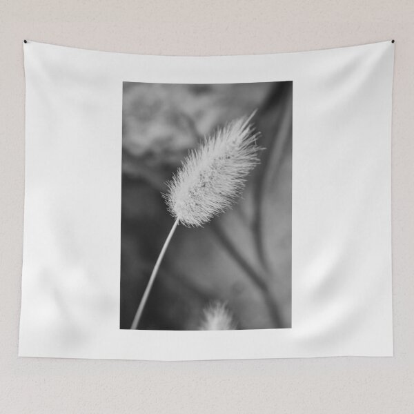 Item preview, Close-Up Black and White Macro of Fuzzy Bunny Tail Grass Seed Head, Minimal Nature Detail designed and sold by Nmallia.