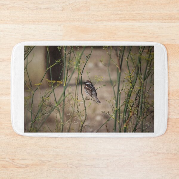 Item preview, Song Sparrow Perched Among Wild Fennel Stems in Dry Meadow, Small Brown Bird Close-Up designed and sold by Nmallia.