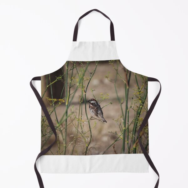 Item preview, Song Sparrow Perched Among Wild Fennel Stems in Dry Meadow, Small Brown Bird Close-Up designed and sold by Nmallia.