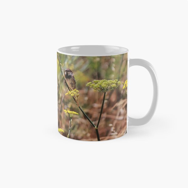 Item preview, Song Sparrow Perched Among Wild Fennel Stems in Dry Meadow, Small Brown Bird Close-Up designed and sold by Nmallia.