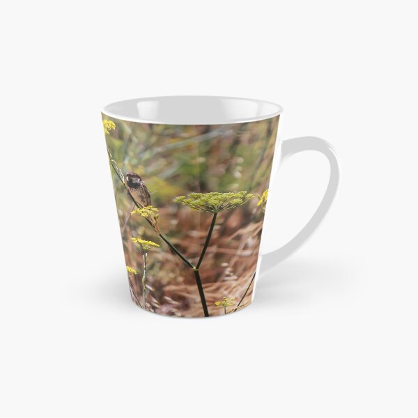 Item preview, Song Sparrow Perched Among Wild Fennel Stems in Dry Meadow, Small Brown Bird Close-Up designed and sold by Nmallia.