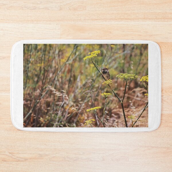 Item preview, Song Sparrow Perched Among Wild Fennel Stems in Dry Meadow, Small Brown Bird Close-Up designed and sold by Nmallia.