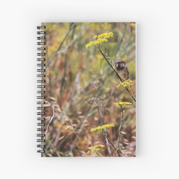 Item preview, Song Sparrow Perched Among Wild Fennel Stems in Dry Meadow, Small Brown Bird Close-Up designed and sold by Nmallia.
