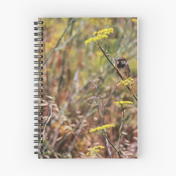 Item preview, Song Sparrow Perched Among Wild Fennel Stems in Dry Meadow, Small Brown Bird Close-Up designed and sold by Nmallia.