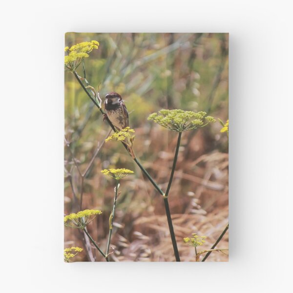 Item preview, Song Sparrow Perched Among Wild Fennel Stems in Dry Meadow, Small Brown Bird Close-Up designed and sold by Nmallia.