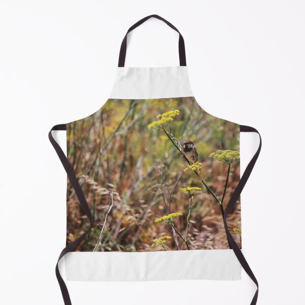 Item preview, Song Sparrow Perched Among Wild Fennel Stems in Dry Meadow, Small Brown Bird Close-Up designed and sold by Nmallia.