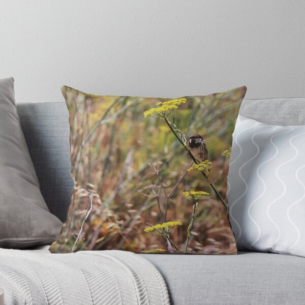 Item preview, Song Sparrow Perched Among Wild Fennel Stems in Dry Meadow, Small Brown Bird Close-Up designed and sold by Nmallia.