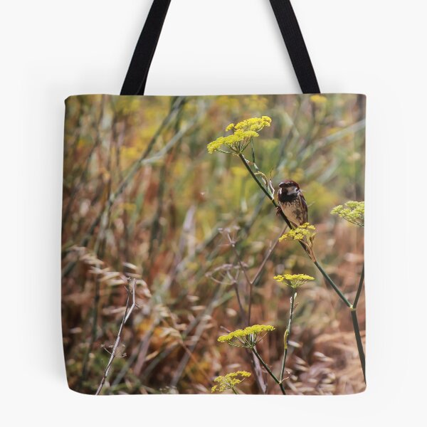 Item preview, Song Sparrow Perched Among Wild Fennel Stems in Dry Meadow, Small Brown Bird Close-Up designed and sold by Nmallia.