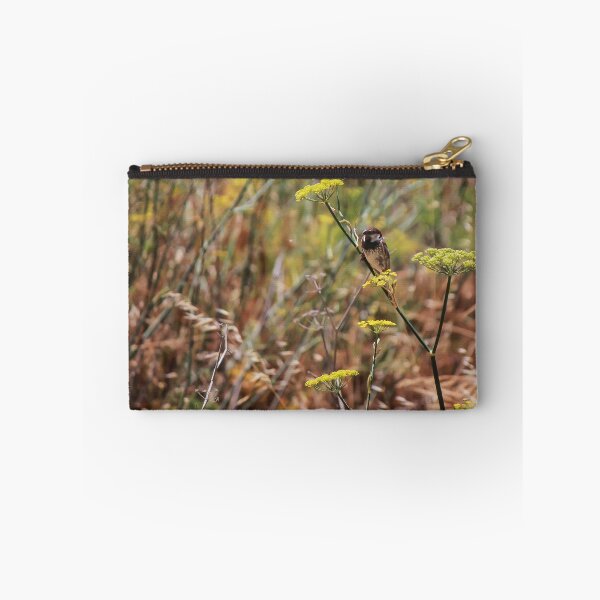 Item preview, Song Sparrow Perched Among Wild Fennel Stems in Dry Meadow, Small Brown Bird Close-Up designed and sold by Nmallia.