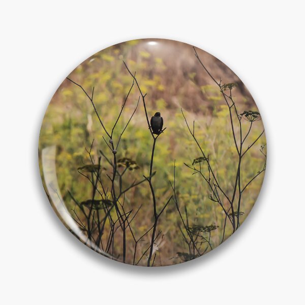 Item preview, Song Sparrow Perched Among Wild Fennel Stems in Dry Meadow, Small Brown Bird Close-Up designed and sold by Nmallia.