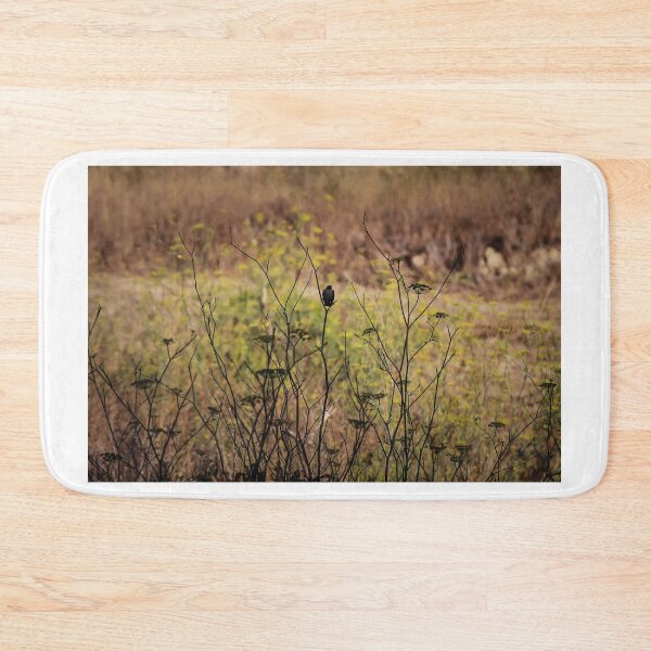 Item preview, Song Sparrow Perched Among Wild Fennel Stems in Dry Meadow, Small Brown Bird Close-Up designed and sold by Nmallia.