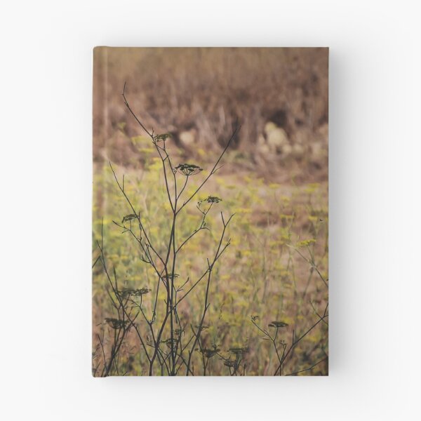 Item preview, Song Sparrow Perched Among Wild Fennel Stems in Dry Meadow, Small Brown Bird Close-Up designed and sold by Nmallia.