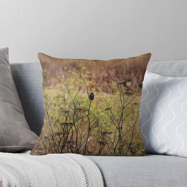 Item preview, Song Sparrow Perched Among Wild Fennel Stems in Dry Meadow, Small Brown Bird Close-Up designed and sold by Nmallia.