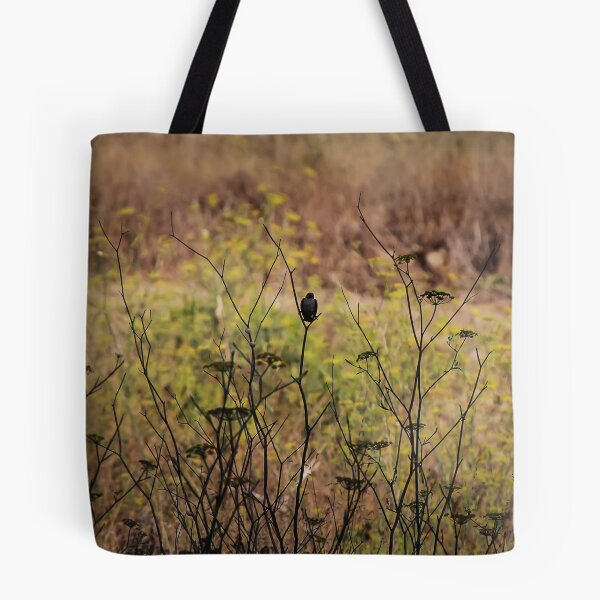 Item preview, Song Sparrow Perched Among Wild Fennel Stems in Dry Meadow, Small Brown Bird Close-Up designed and sold by Nmallia.