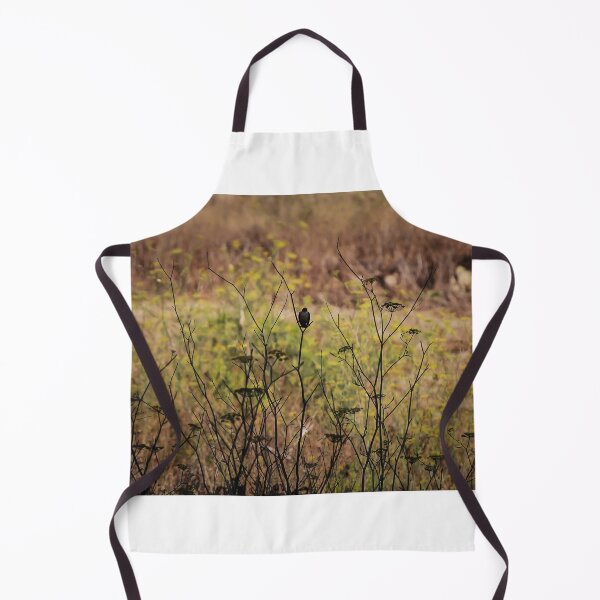 Item preview, Song Sparrow Perched Among Wild Fennel Stems in Dry Meadow, Small Brown Bird Close-Up designed and sold by Nmallia.