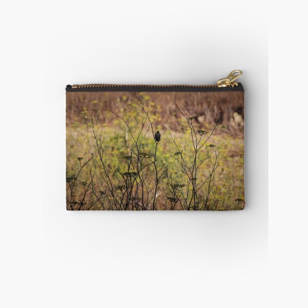 Item preview, Song Sparrow Perched Among Wild Fennel Stems in Dry Meadow, Small Brown Bird Close-Up designed and sold by Nmallia.