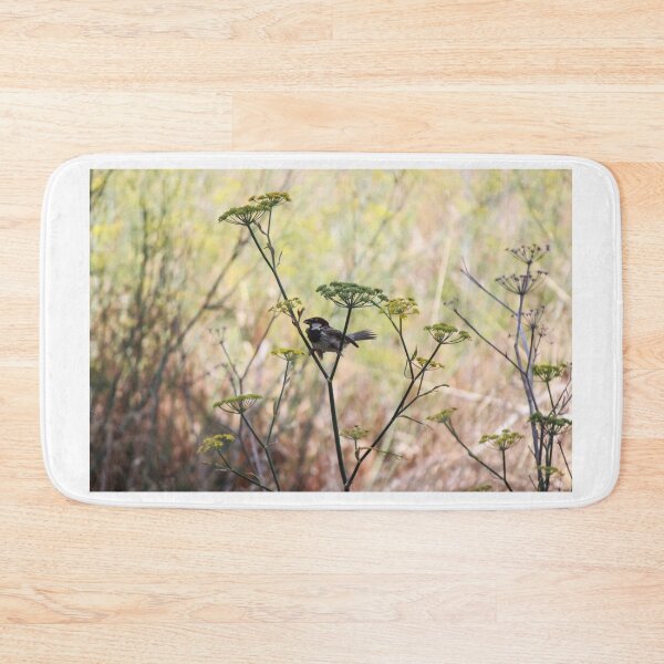 Item preview, Song Sparrow Perched Among Wild Fennel Stems in Dry Meadow, Small Brown Bird Close-Up designed and sold by Nmallia.