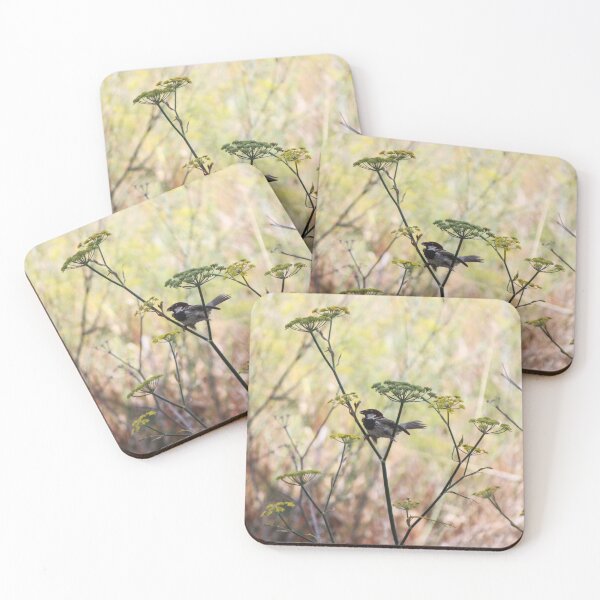 Item preview, Song Sparrow Perched Among Wild Fennel Stems in Dry Meadow, Small Brown Bird Close-Up designed and sold by Nmallia.