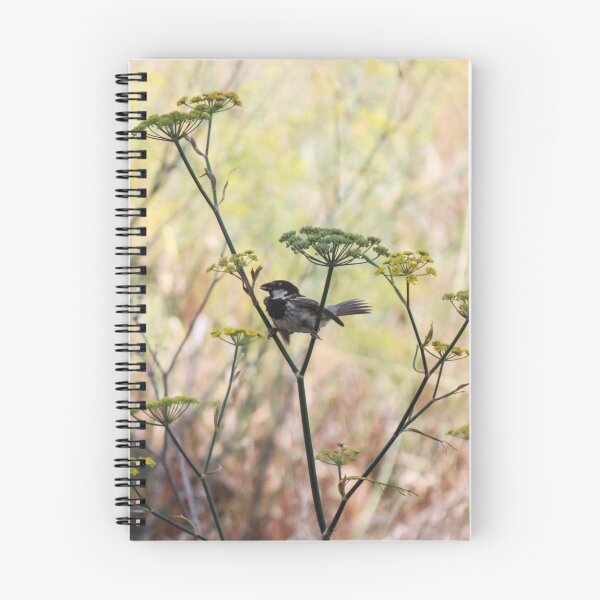 Item preview, Song Sparrow Perched Among Wild Fennel Stems in Dry Meadow, Small Brown Bird Close-Up designed and sold by Nmallia.