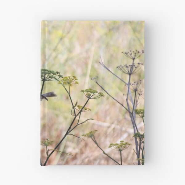 Item preview, Song Sparrow Perched Among Wild Fennel Stems in Dry Meadow, Small Brown Bird Close-Up designed and sold by Nmallia.