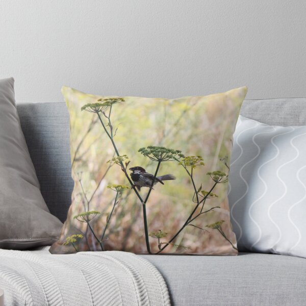 Item preview, Song Sparrow Perched Among Wild Fennel Stems in Dry Meadow, Small Brown Bird Close-Up designed and sold by Nmallia.