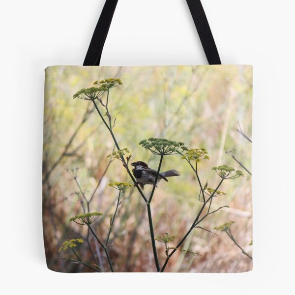 Item preview, Song Sparrow Perched Among Wild Fennel Stems in Dry Meadow, Small Brown Bird Close-Up designed and sold by Nmallia.