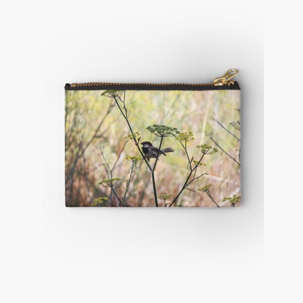 Item preview, Song Sparrow Perched Among Wild Fennel Stems in Dry Meadow, Small Brown Bird Close-Up designed and sold by Nmallia.
