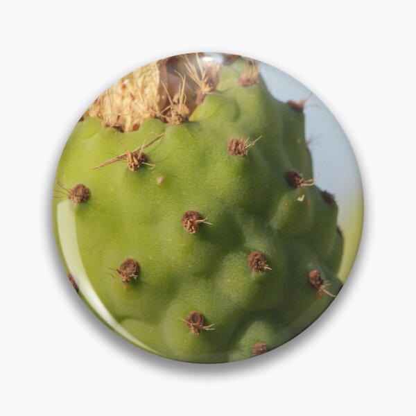 Item preview, Close-Up Prickly Pear Cactus Bud On Green Opuntia Pad With Texture And Spines designed and sold by Nmallia.