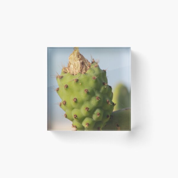 Item preview, Close-Up Prickly Pear Cactus Bud On Green Opuntia Pad With Texture And Spines designed and sold by Nmallia.
