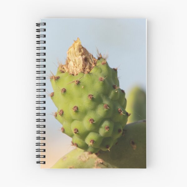 Item preview, Close-Up Prickly Pear Cactus Bud On Green Opuntia Pad With Texture And Spines designed and sold by Nmallia.