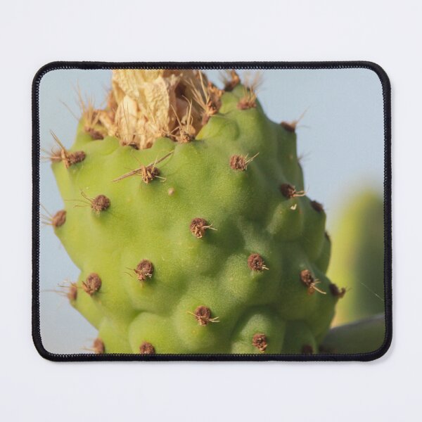 Item preview, Close-Up Prickly Pear Cactus Bud On Green Opuntia Pad With Texture And Spines designed and sold by Nmallia.