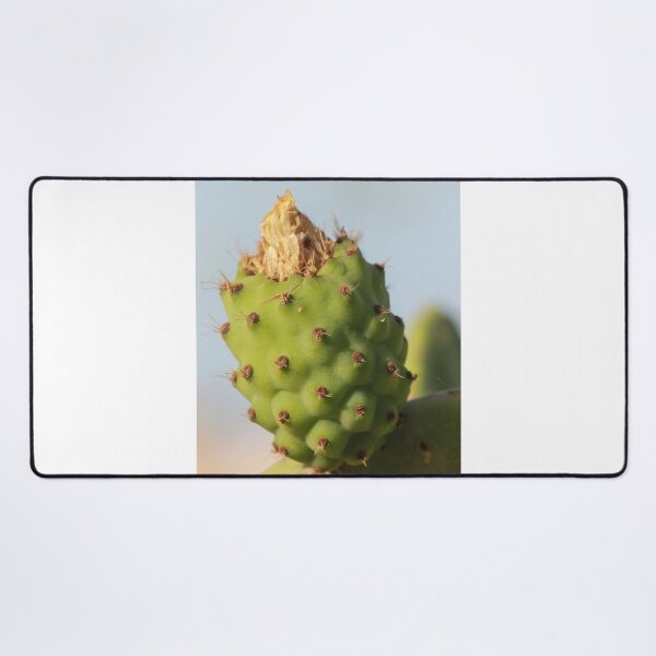 Item preview, Close-Up Prickly Pear Cactus Bud On Green Opuntia Pad With Texture And Spines designed and sold by Nmallia.