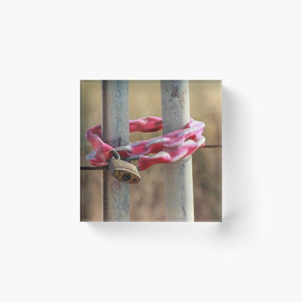 Item preview, Rusty Padlock Securing Pink Plastic-Wrapped Chain Around Metal Gate Posts With Shallow Focus designed and sold by Nmallia.