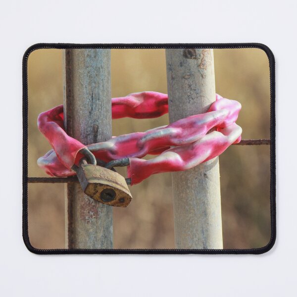 Item preview, Rusty Padlock Securing Pink Plastic-Wrapped Chain Around Metal Gate Posts With Shallow Focus designed and sold by Nmallia.