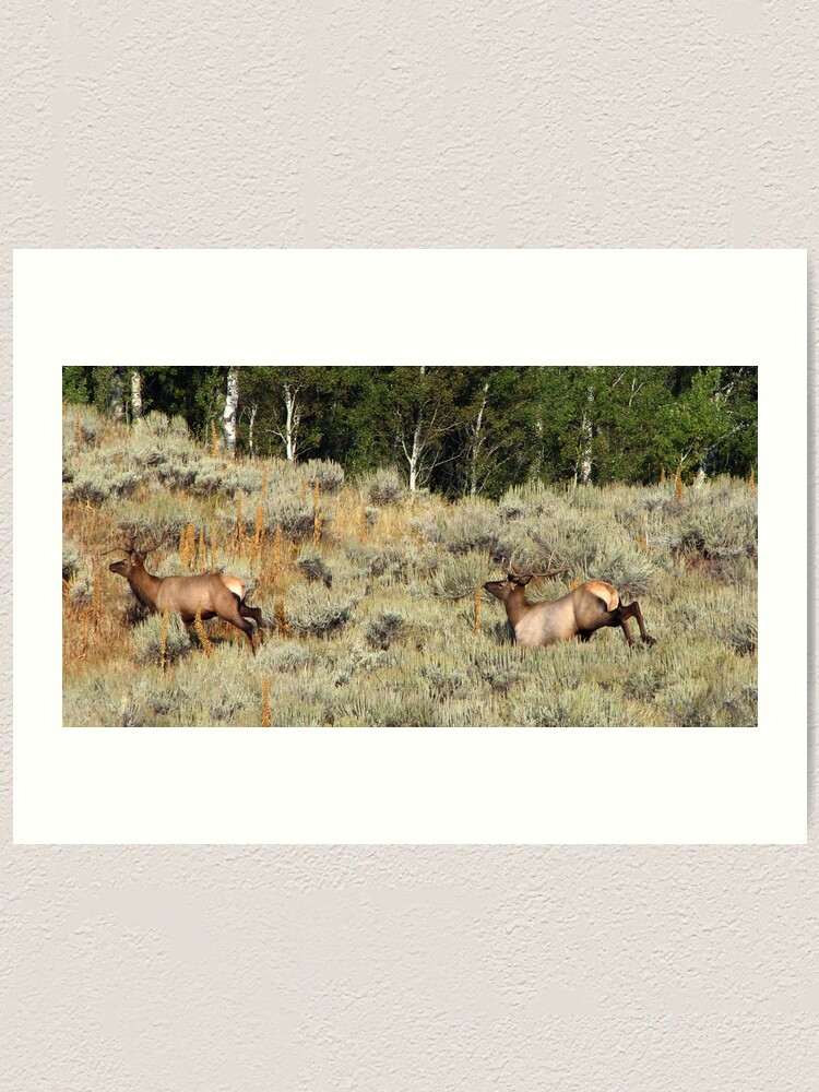 Alternate view of Bounding Elk Art Print
