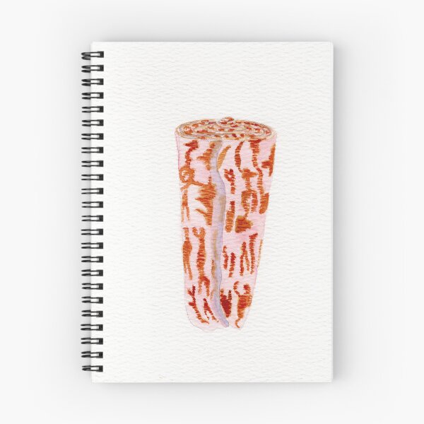 Item preview, watercolor painting of a striated cone shell. designed and sold by KPierceArt.