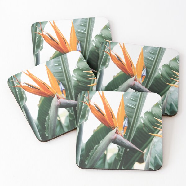 Item preview, Minimalist Strelitzia Flower Leaves Photo designed and sold by ReneJordaan.