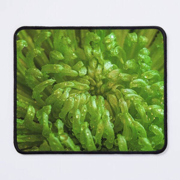 Item preview, Moody Dark Green Chrysanthemum Flower Macro Botanical Pattern designed and sold by MariaAbaza.