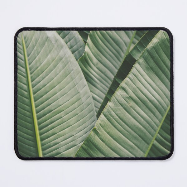 Item preview, Minimalist Strelitzia Tropical Leaf Photo designed and sold by ReneJordaan.