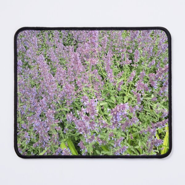 Item preview, Purple Lavender Field Aesthetic Nature Photography designed and sold by PhuongVoArt.
